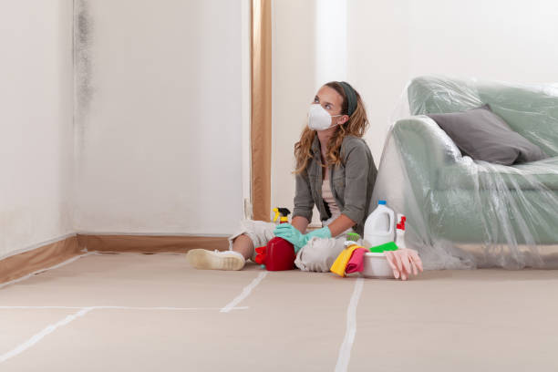 Reliable Black Mold Remediation contractor in Beverly, NJ by 24 Hour Mold Removal